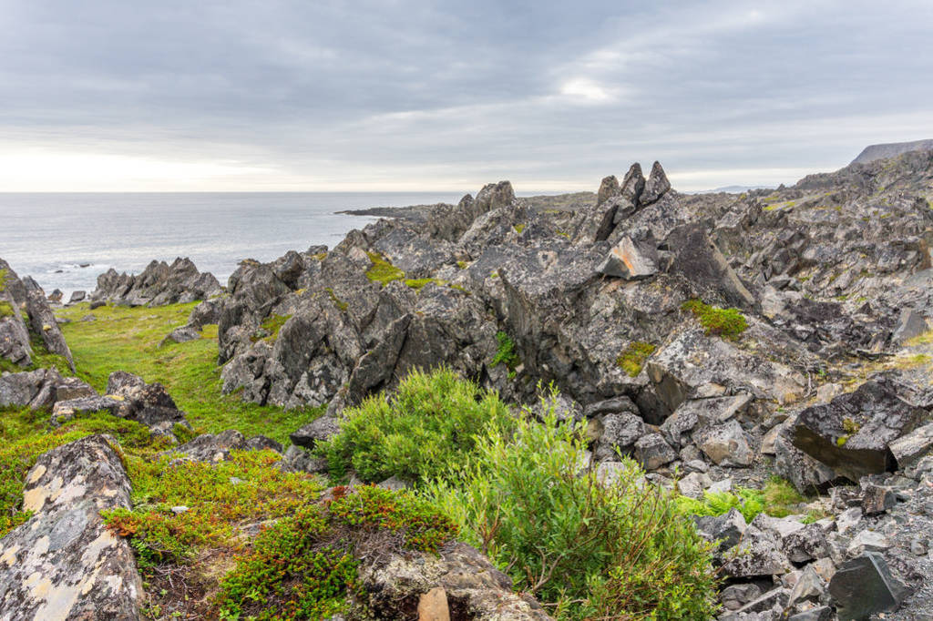 Rocky cliffs on the coast of the Barents Sea along the Varanger