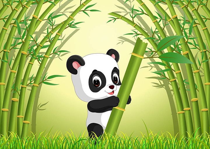 熊猫香烟绿色中支20支图片