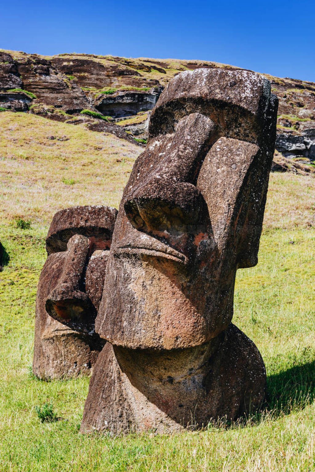 Ŭҹ԰ڵŵŵɽ moai