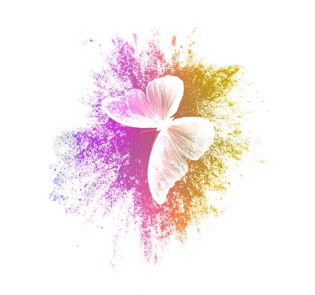color paint splashes with butterfly isolated on a white backgrou
