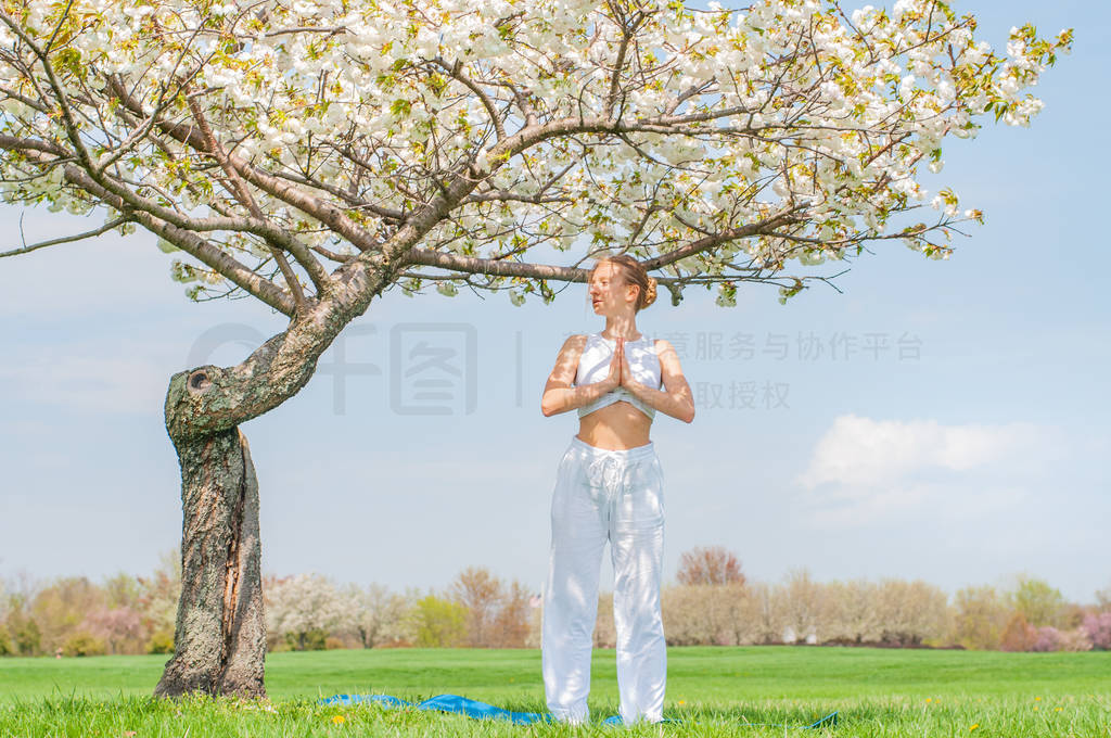 Beautiful young woman is practicing yoga near blossom tree at th