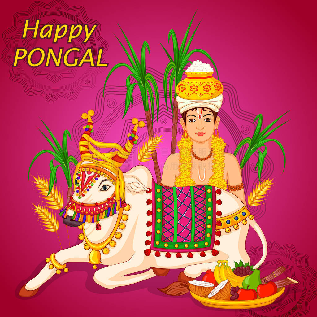 Pongal ڽ̴ͳ̩׶ɵ°ӡף