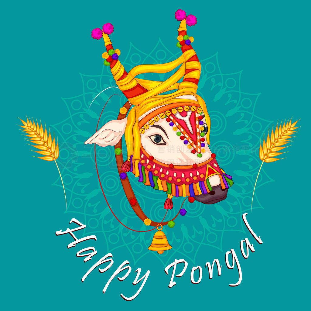 Pongal ڽ̴ͳ̩׶ɵ°ӡף