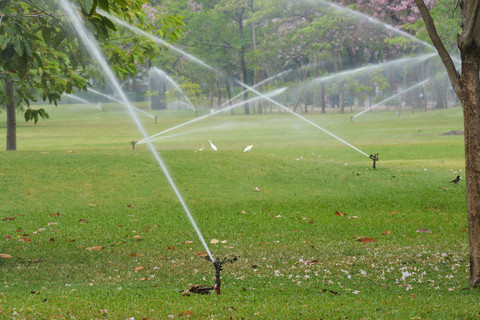 园艺。把水洒在绿草的草坪洒水器。技术的花园里浇水灌溉系统