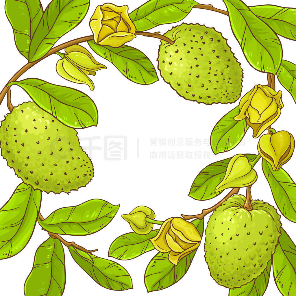 soursop ʸ֡