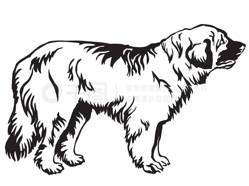  Leonberger ʸ illustrati װվФ