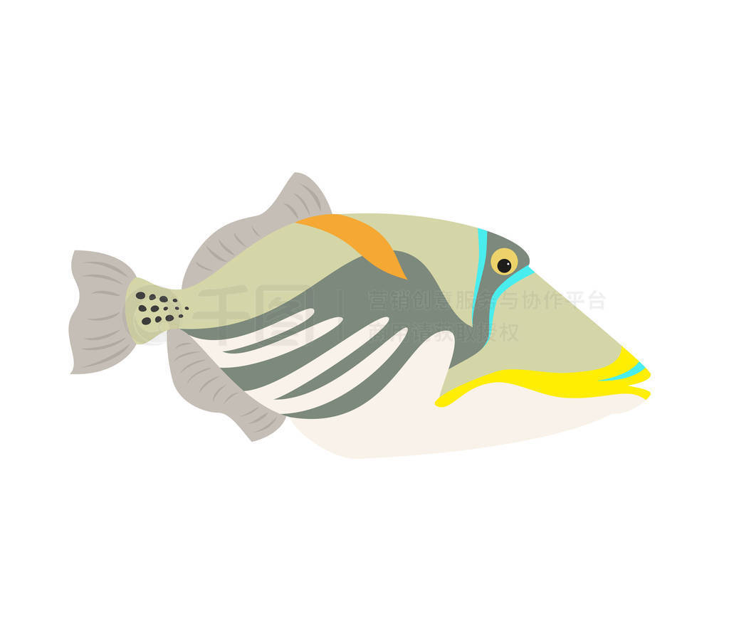 ϼ triggerfish ͼɫ