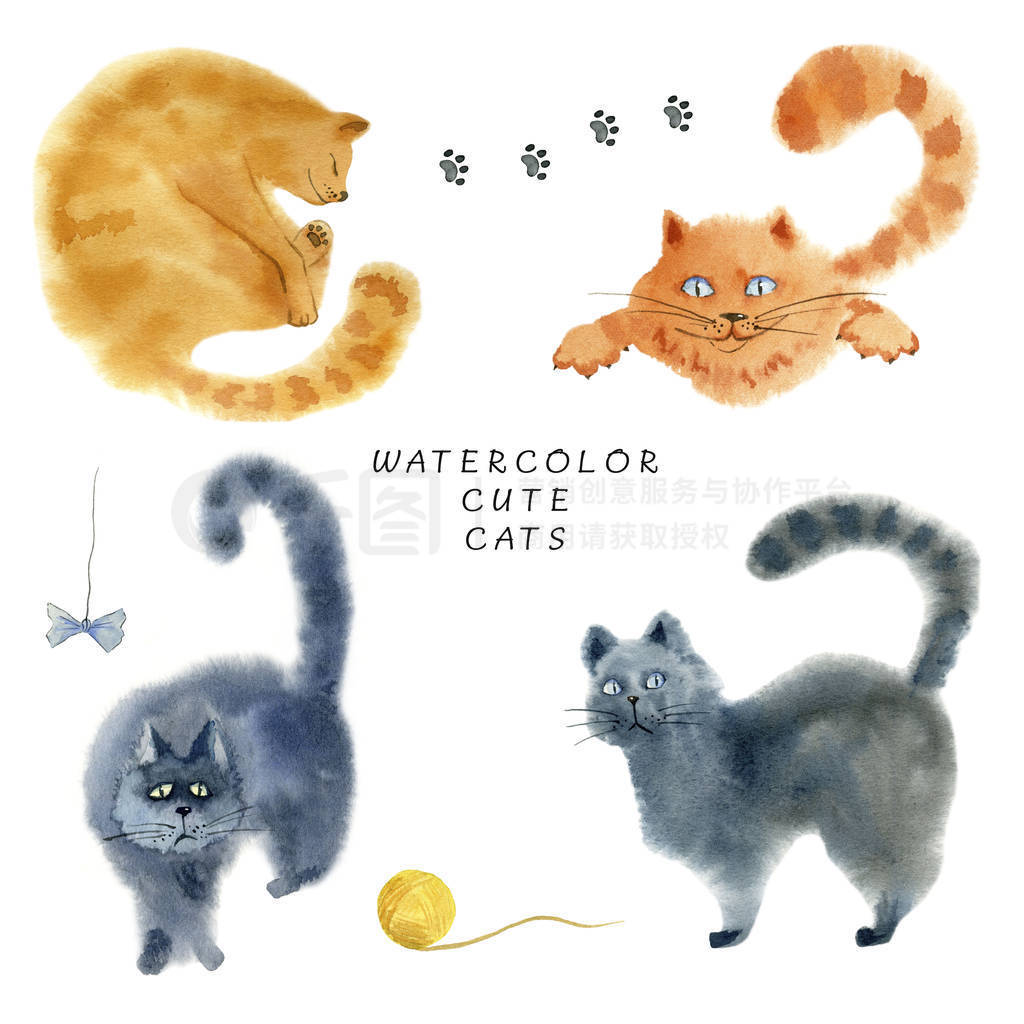 Set of cute cats on white background.