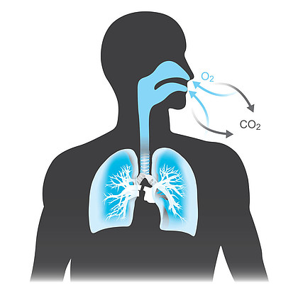 呼吸系统动漫图图片