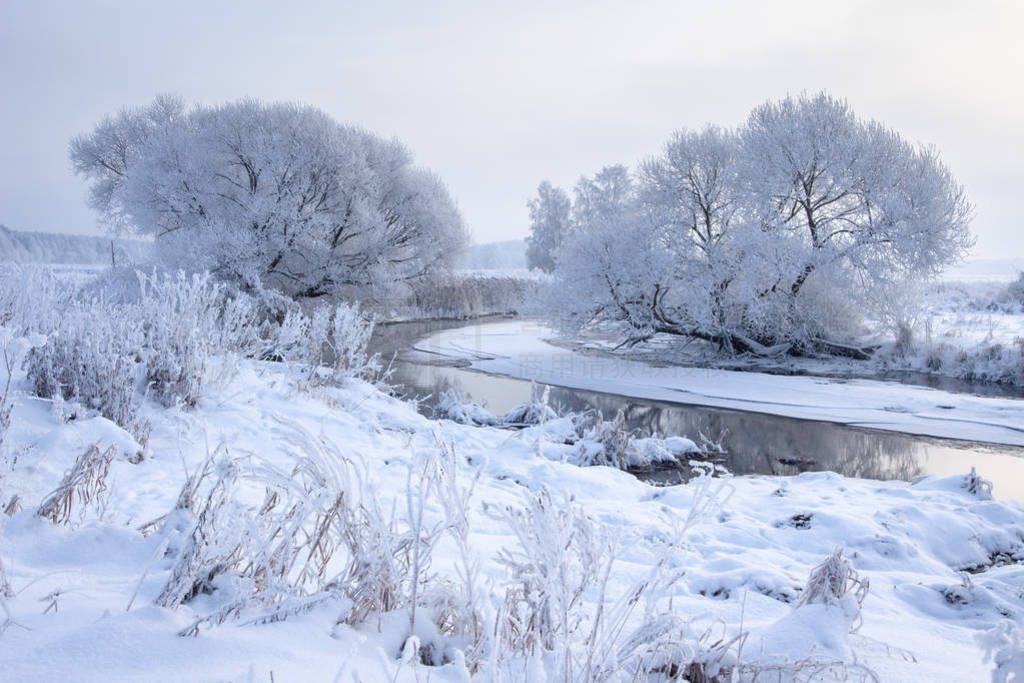 Winter landscape. Snowy trees on riverside. Cold frost weather.