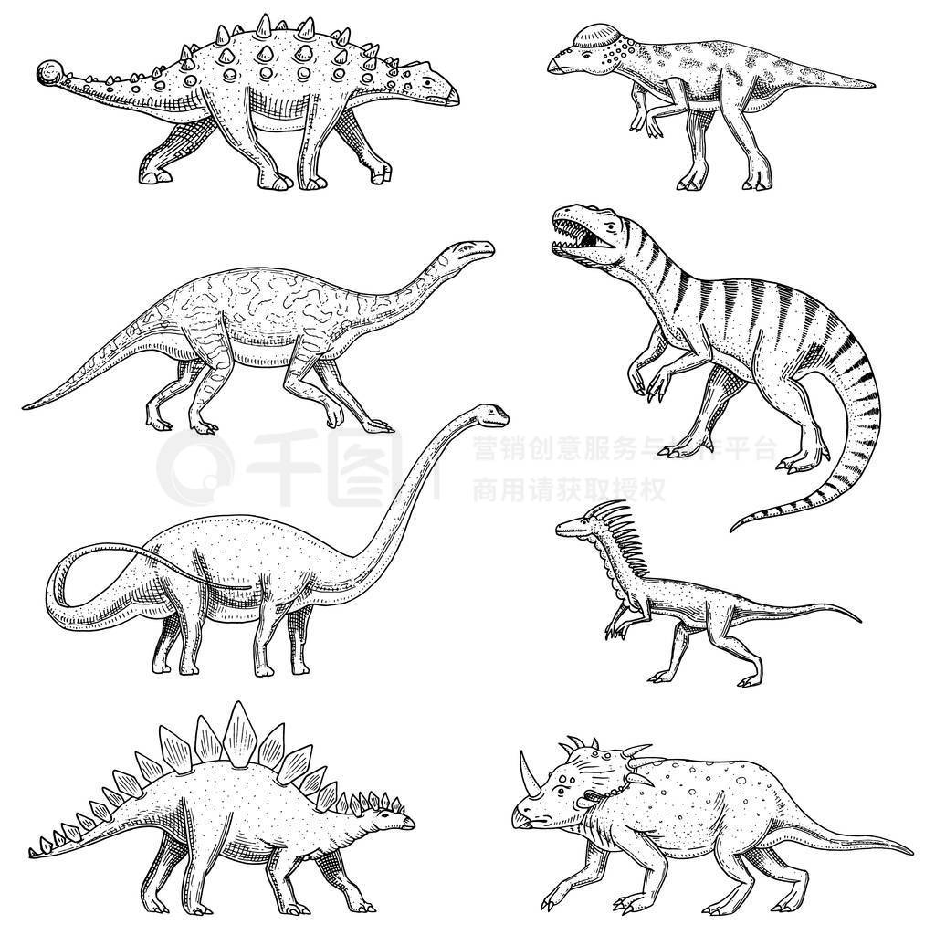 , , barosaurus, , , pachycephalosaurus, , , , 