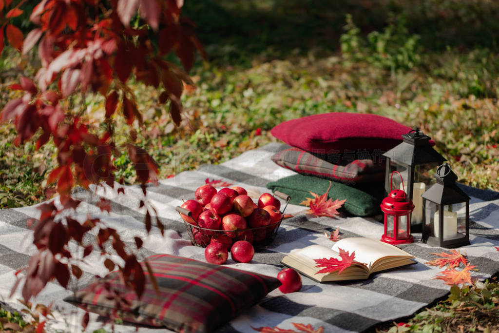 Autumn warm days. Indian summer. Picnic in the garden - blanket
