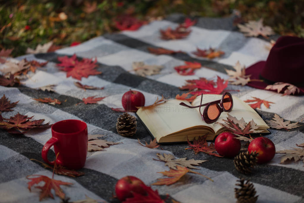 Autumn warm days. Indian summer. Picnic in the garden - blanket