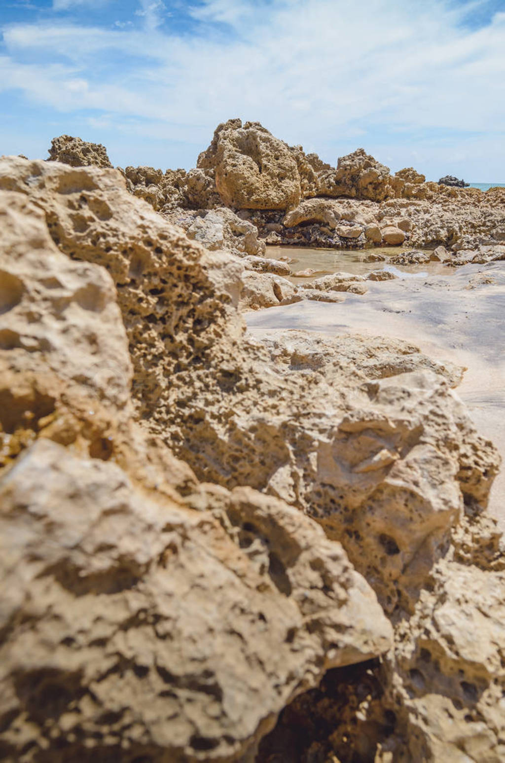 Conde PB Praia de Coqueirinoʯ