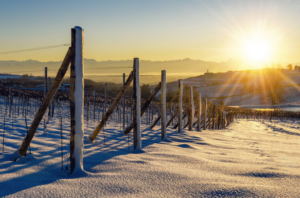 ԰Ķ (Langhe, ɽ´, Ita