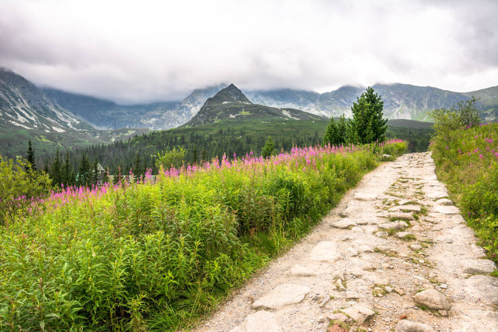 ԶСɽ, 羰ɽ, Tatra ҹ԰, 