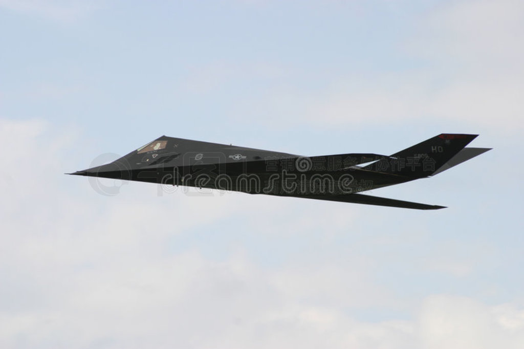 f-117ս