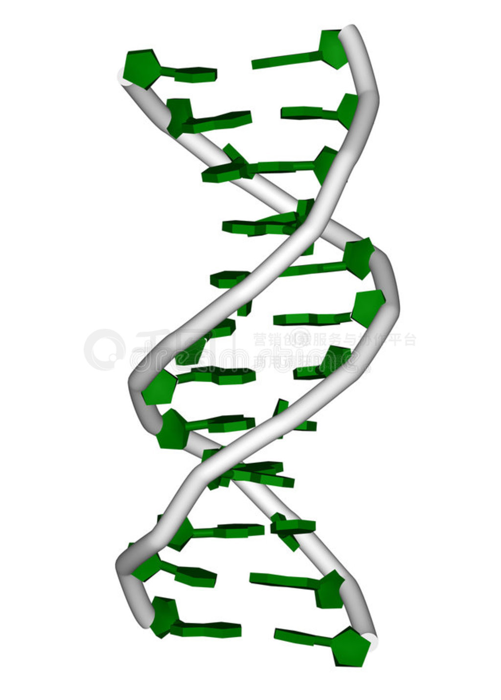 dna