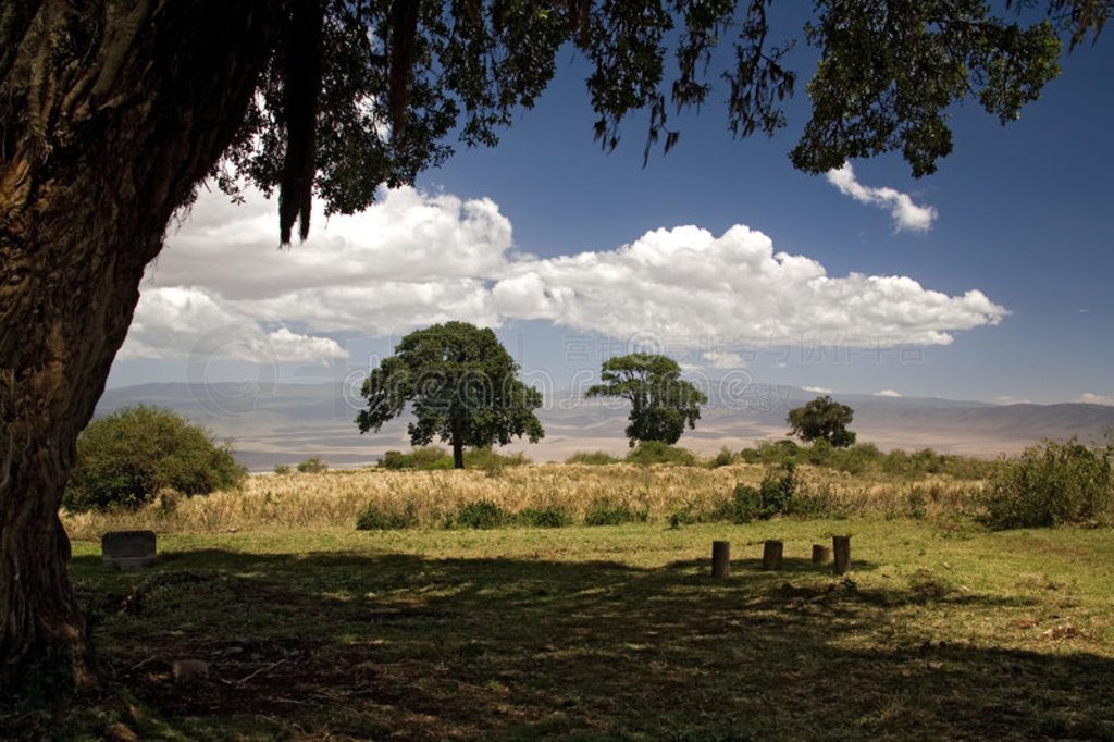 ޾016 ngorongoro