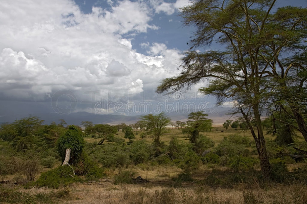 ޾ۣngorongoro