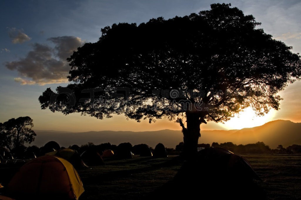 ޾033 ngorongoro