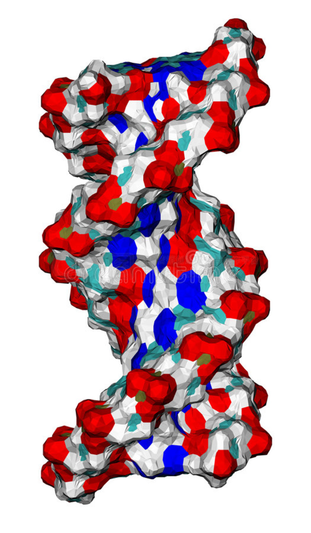 dna