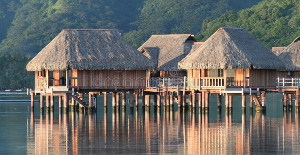 moorea lagoonƵƽ