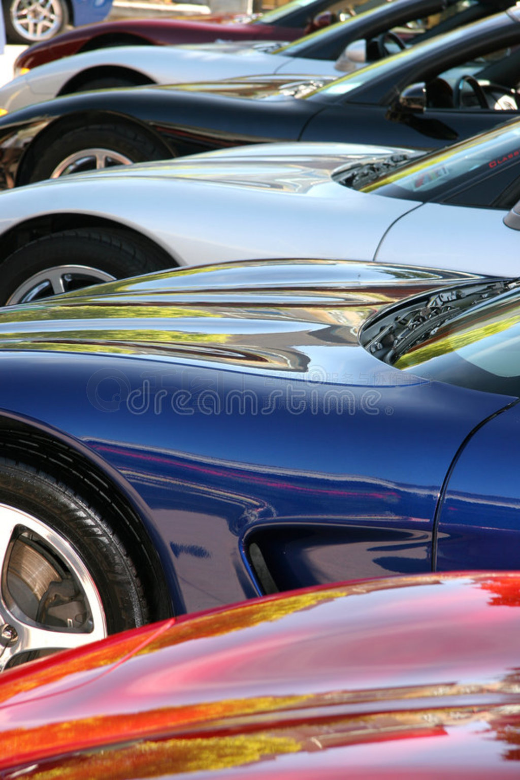 2006corvettes