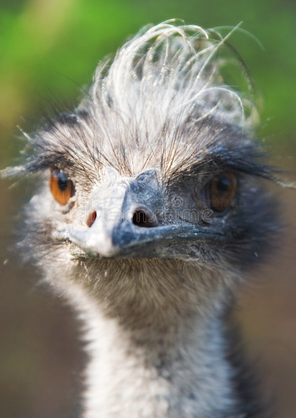 EMU