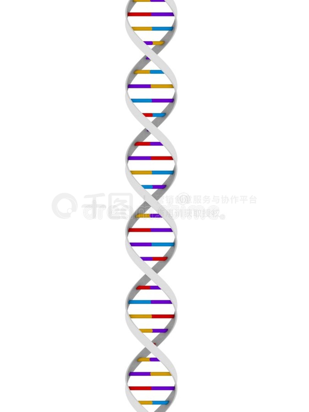 dna