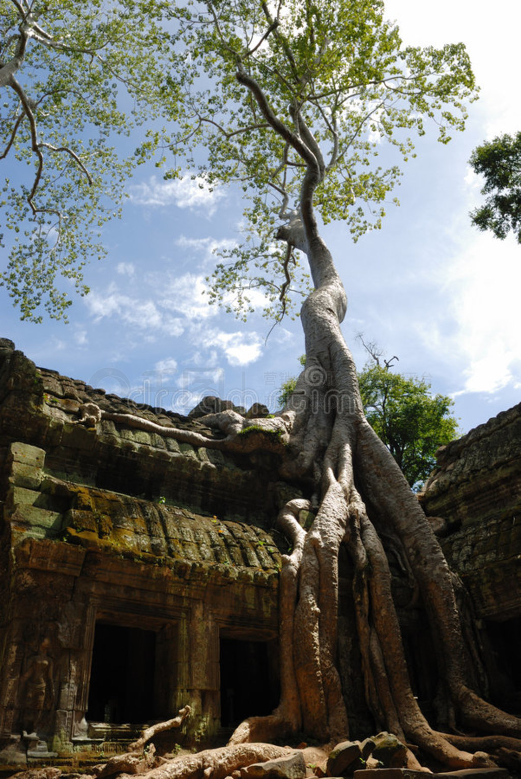 կta prohm