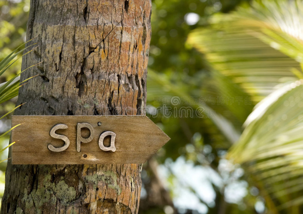 ϵľSPAָʾ