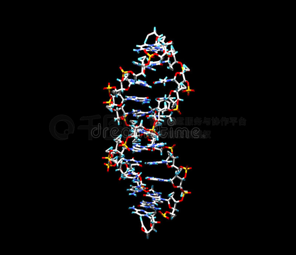 dna