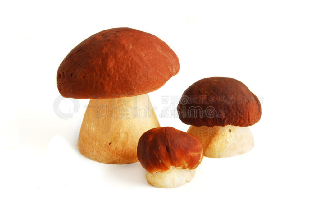 CEP