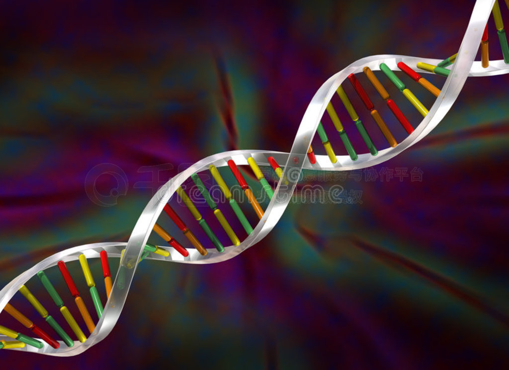 DNA