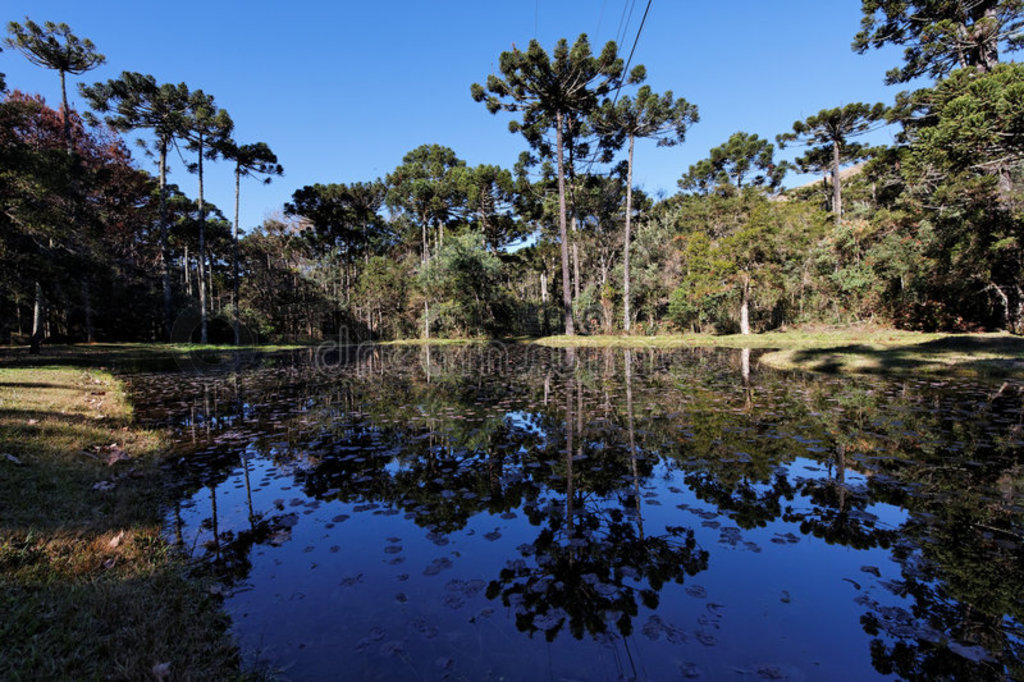 ʥjordaocampos do jordao