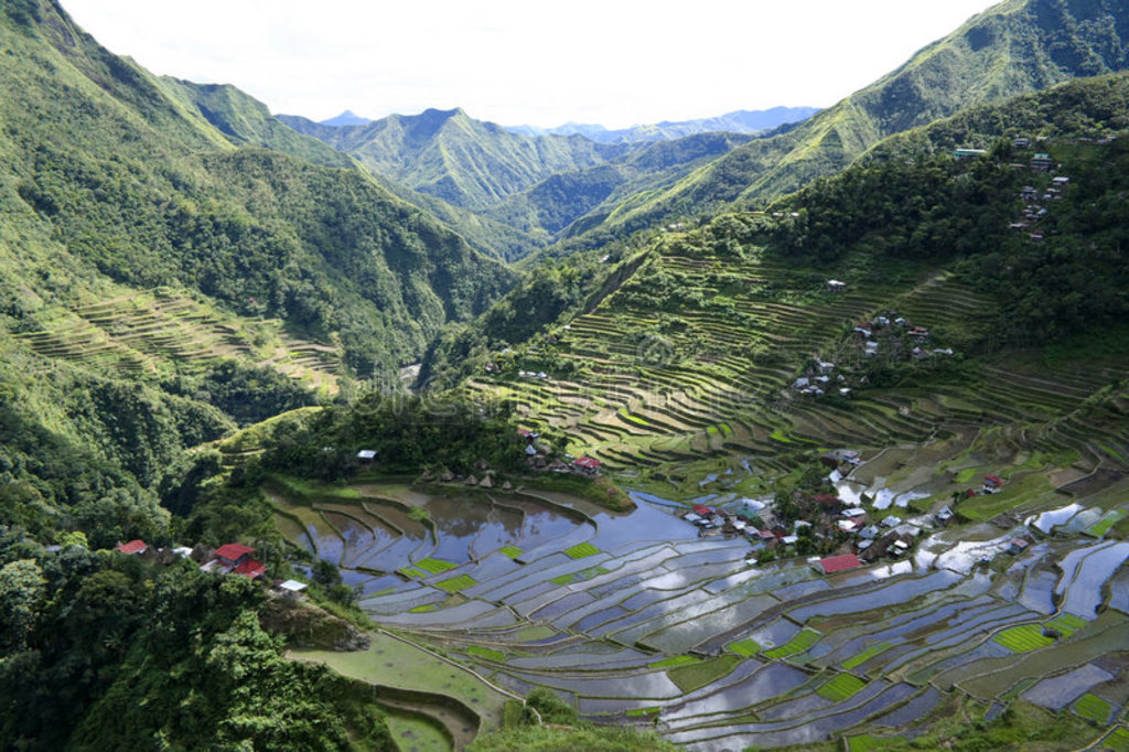 ɱbatad ifugao