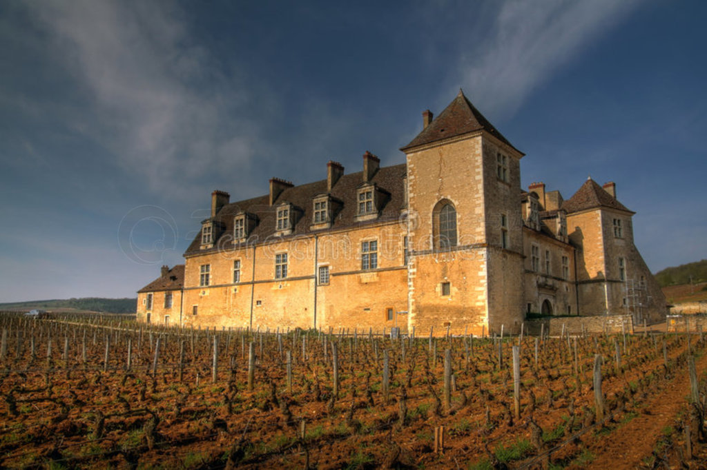 ޵vougeot clos de vougeot