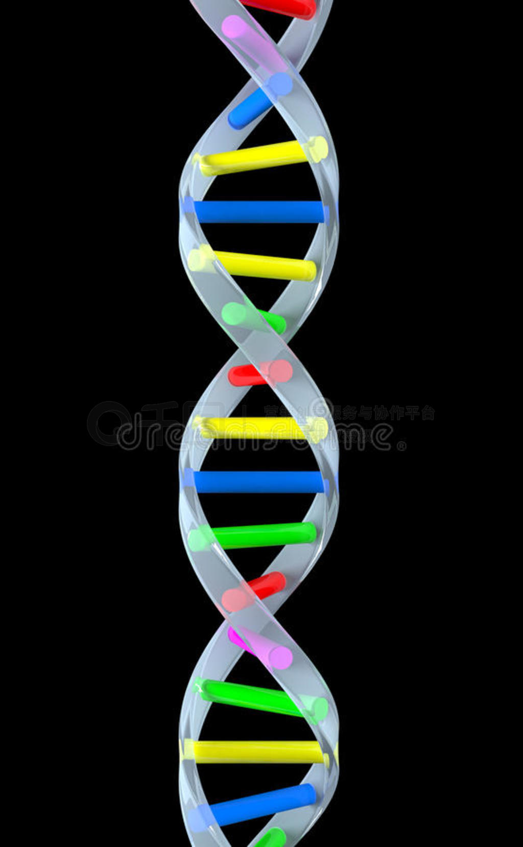 DNA