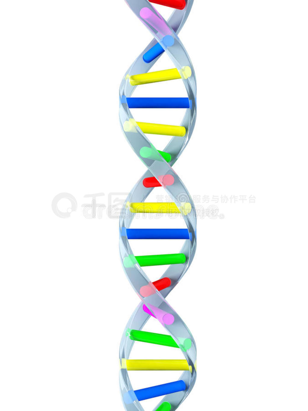 DNA