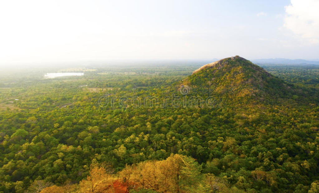 ˹sigiriya rock