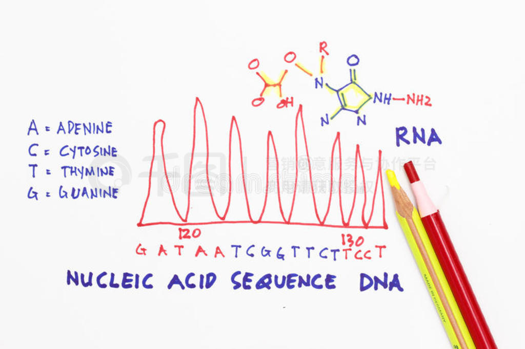 DNA