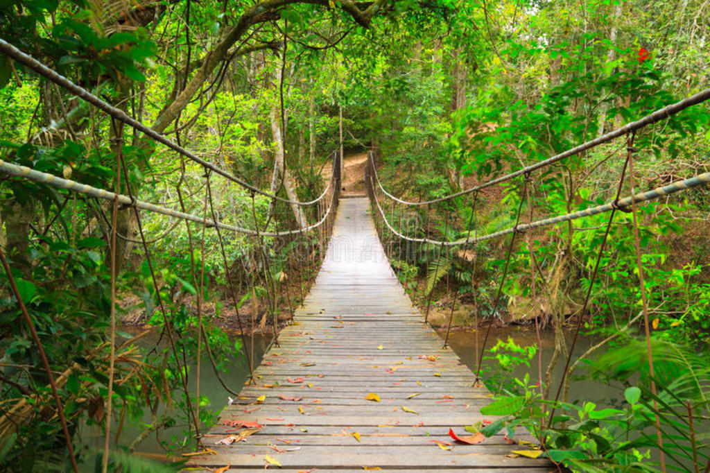 ֵͨţ̩khao yai