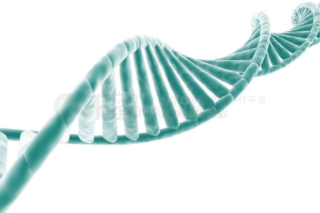 DNA