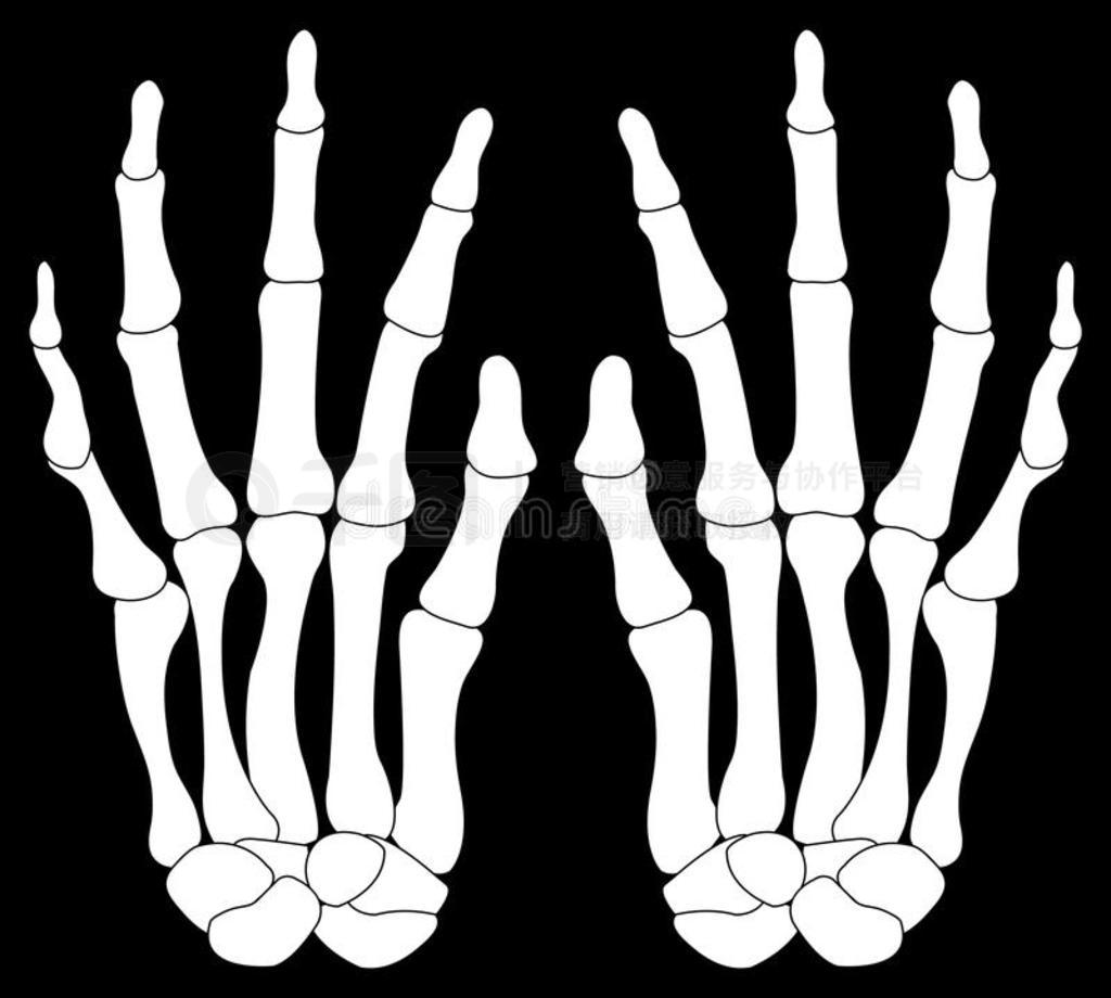 Skeleton Hands Plastic Fake Bone Halloween Human Hand Fancy Party Scary ...