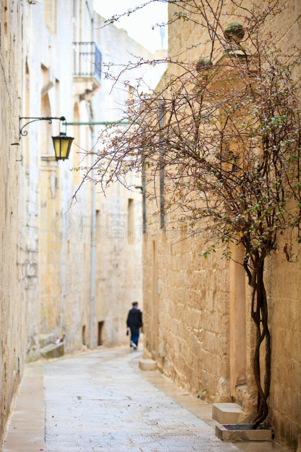 mdina