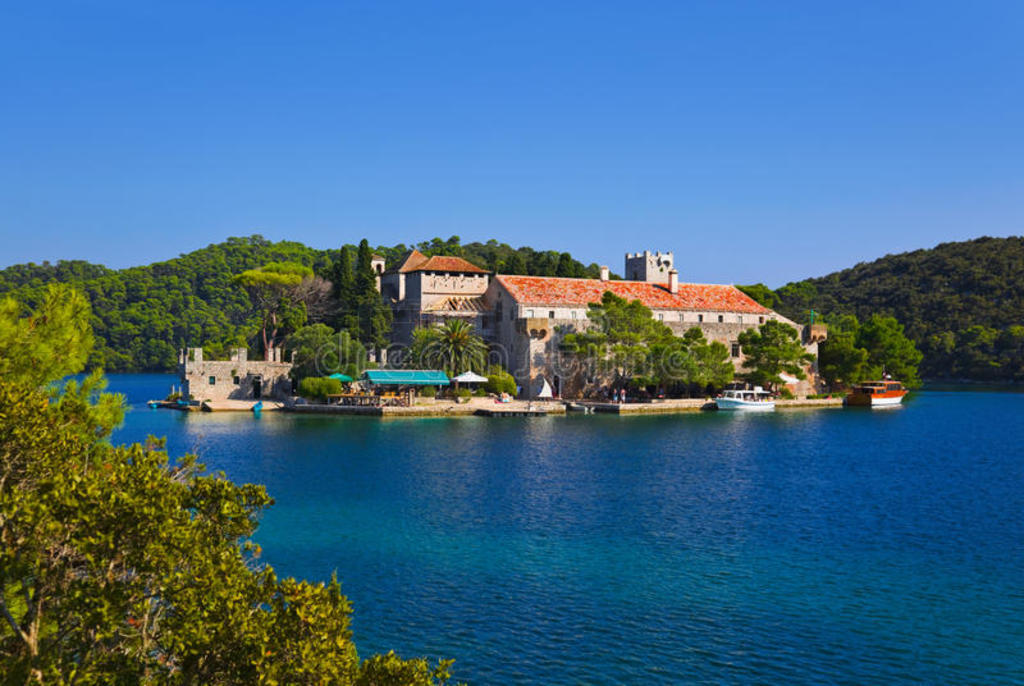 ޵mljet޵Ժ