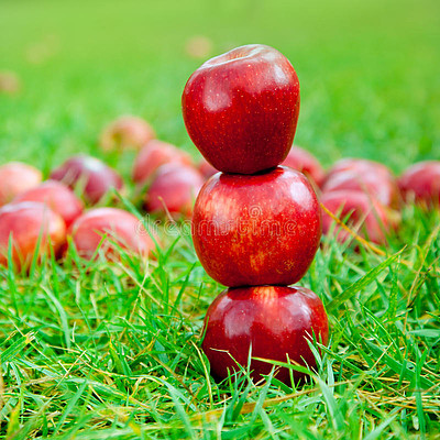 40三个红苹果堆在草地上410古董收藏的手绘制草药和植物, 颠茄,红
