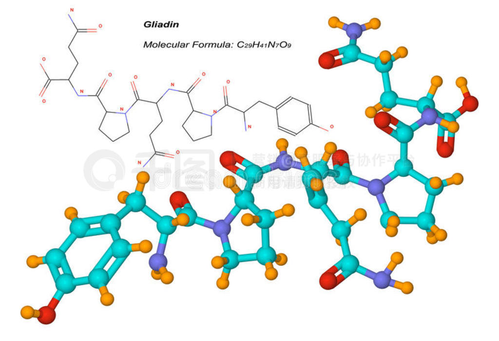 ӽṹͼGliadin