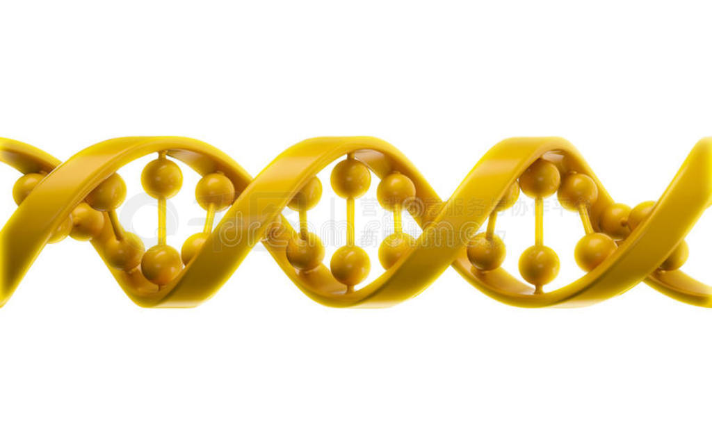 dna